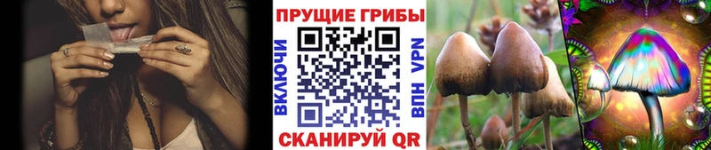 blacksprut сайт хочу наркоту Кирс Галлюциногенные грибы Cubensis